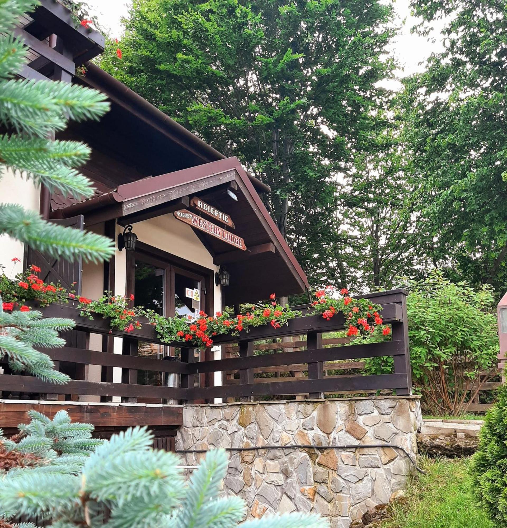 Maggie'S Ranch Otel Rîşnov Dış mekan fotoğraf
