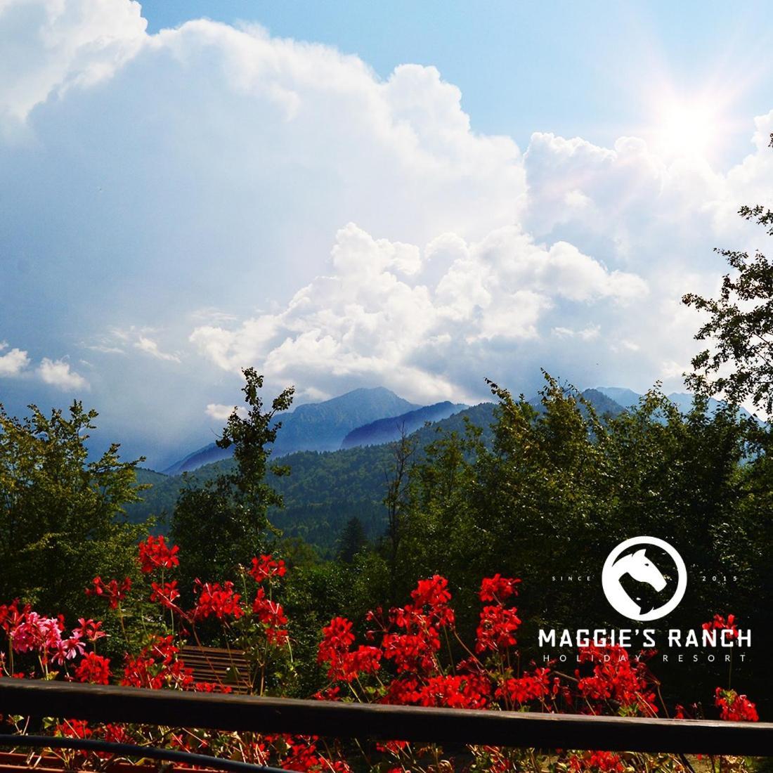 Maggie'S Ranch Otel Rîşnov Dış mekan fotoğraf